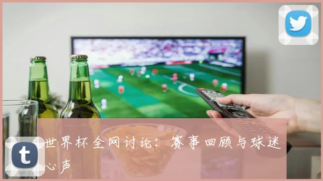 世界杯全网讨论：赛事回顾与球迷心声