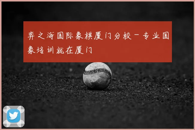 弈之海国际象棋厦门分校 - 专业国象培训就在厦门