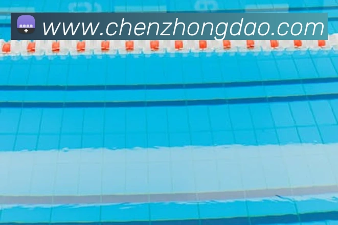 开云体育官方网站APP 封面图